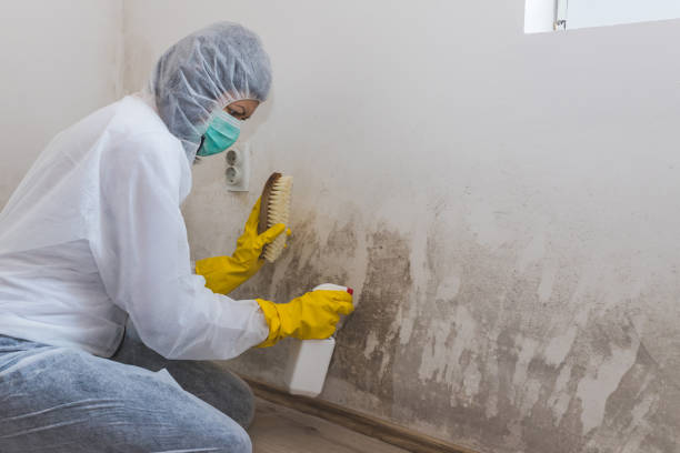 Best Crawl Space Mold Removal  in Midtown, TN