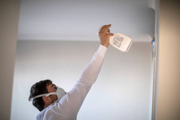 Home Mold Removal in Midtown, TN