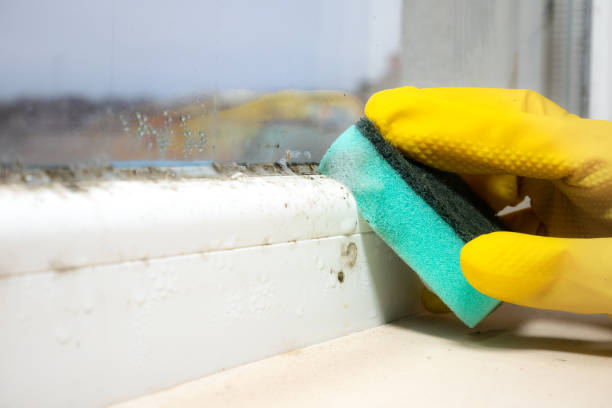 Crawl Space Mold Removal in Midtown, TN